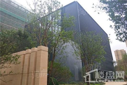 中粮南桥锦云实景图