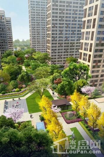 中粮南桥锦云效果图