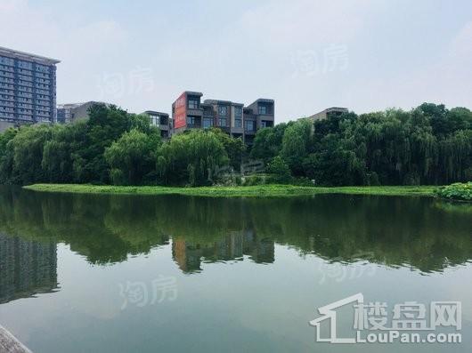 远香湖九号实景图