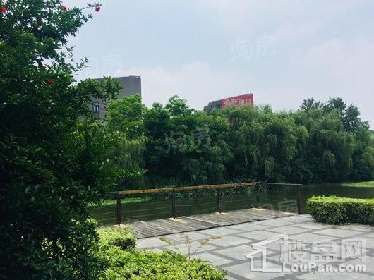 远香湖九号实景图