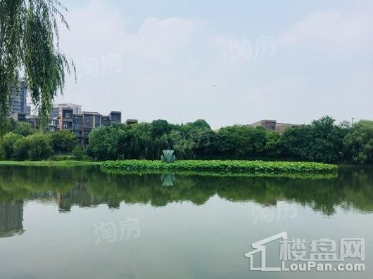 远香湖九号实景图