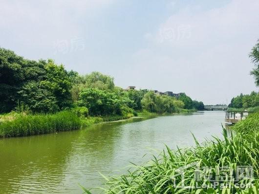 远香湖九号实景图