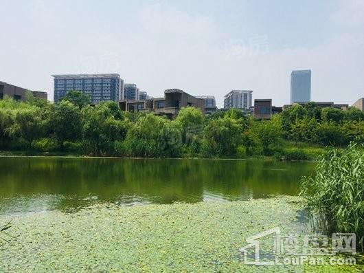 远香湖九号实景图