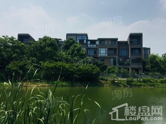 远香湖九号实景图