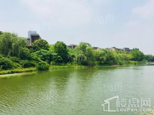 远香湖九号实景图