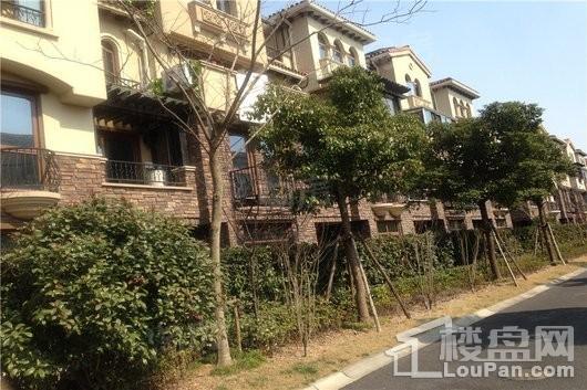 同润蓝美俊庭别墅实景图