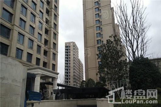 浦发罗兰翡丽实景图