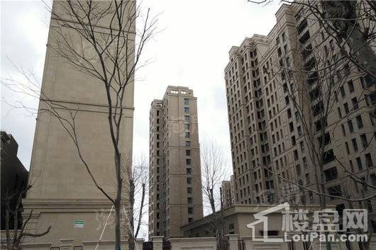 浦发罗兰翡丽实景图