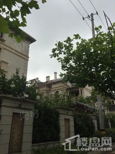 正荣国领实景图
