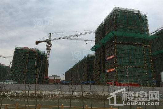 秋月朗庭尚东区实景图