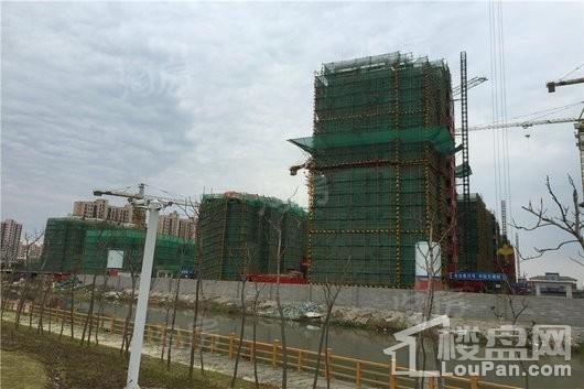 秋月朗庭尚东区实景图