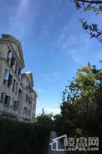 华府天地愉园实景图