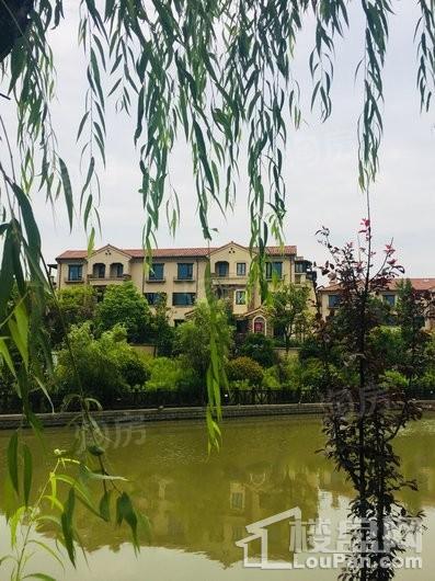 绿洲香格丽花园别墅实景图