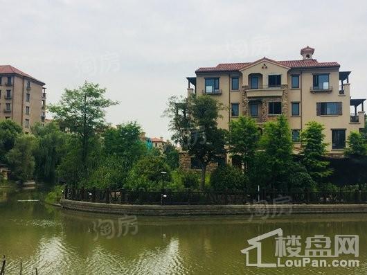 绿洲香格丽花园别墅实景图