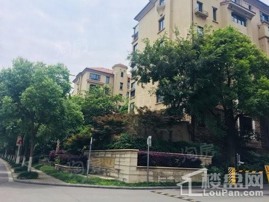 绿洲香格丽花园别墅实景图