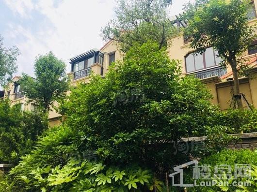 绿洲香格丽花园别墅实景图