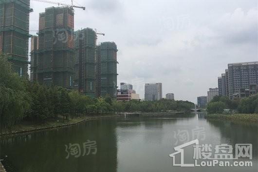 实景图