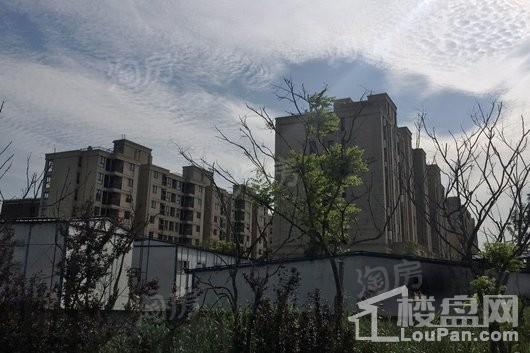 法兰西世家实景图