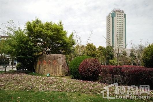 合生财富海景公馆配套图