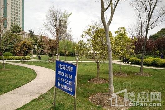 周边配套图