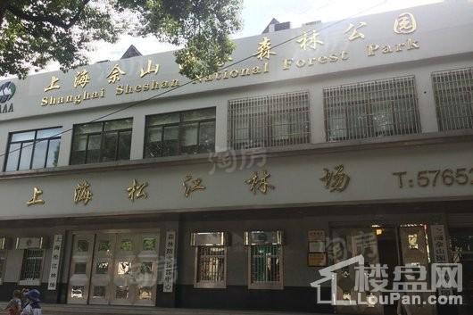 紫都上海晶园配套图