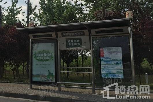 紫都上海晶园配套图