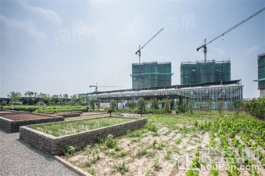 鸿泰乐颐小镇实景图