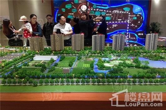 鸿泰乐颐小镇实景图