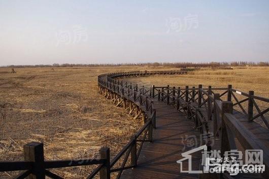 鸿泰乐颐小镇配套图