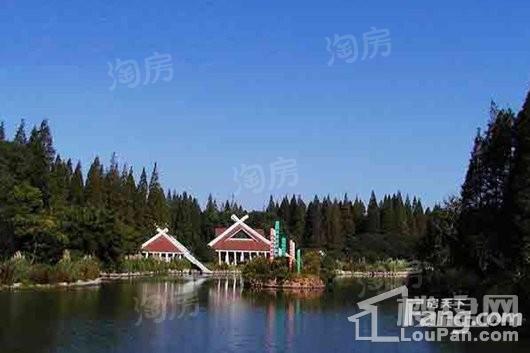 鸿泰乐颐小镇配套图