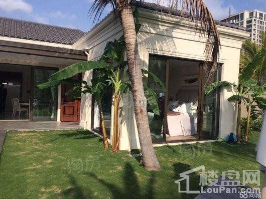 中金海棠湾别墅实景图