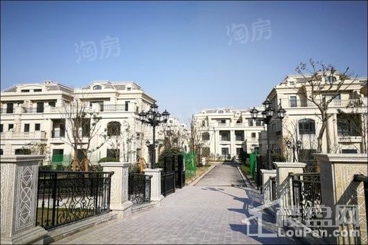 中金海棠湾别墅实景图