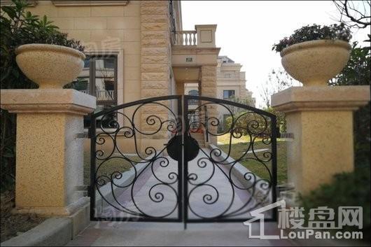 中金海棠湾别墅实景图