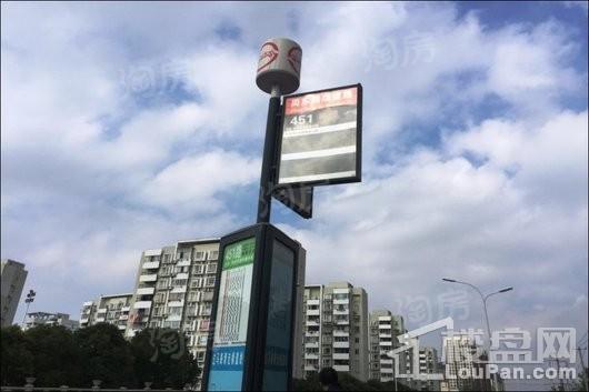 中金海棠湾别墅配套图