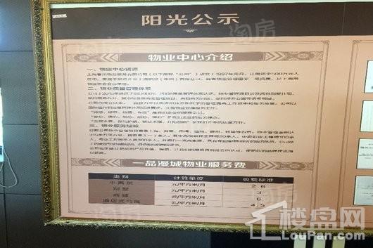一品漫城四期 壹品别墅实景图