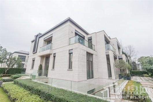 金臣别墅实景图