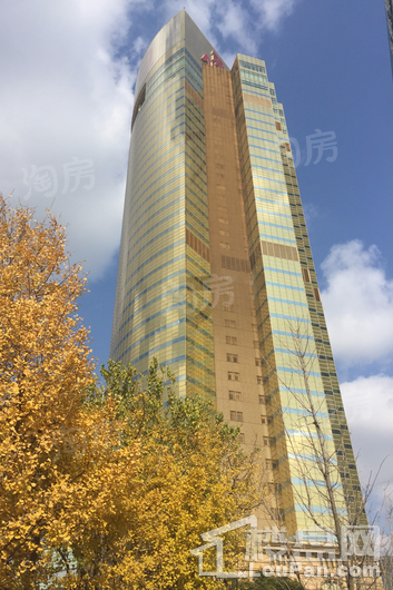 汤臣一品配套图
