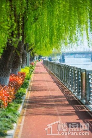 帕缇欧香苑实景图