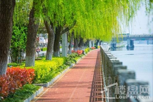 帕缇欧香苑实景图