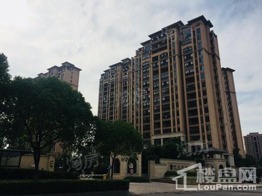 步阳御江金都二期实景图