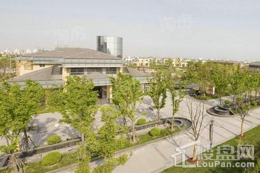佘山东郡实景图