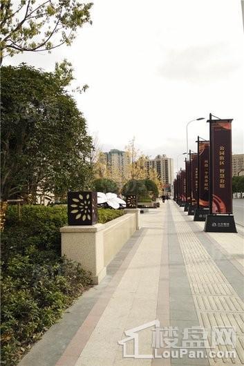 大华斐勒公园实景图