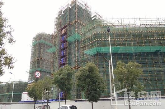 大华斐勒公园实景图