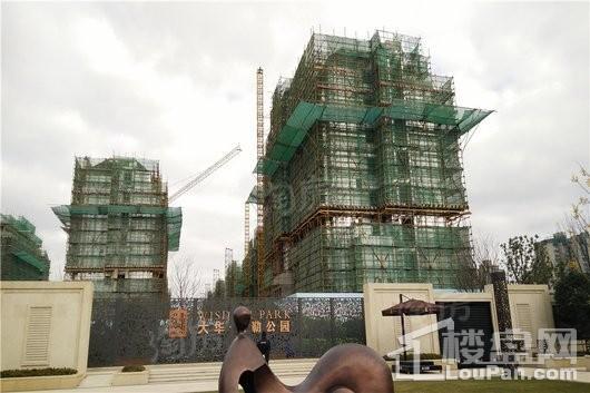 大华斐勒公园实景图