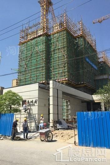 禹洲府实景图