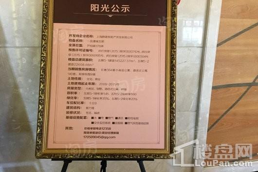 鹏欣一品漫城三期浅山别墅实景图