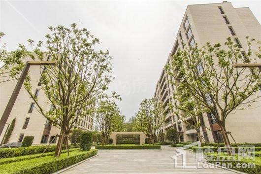金臣汇实景图