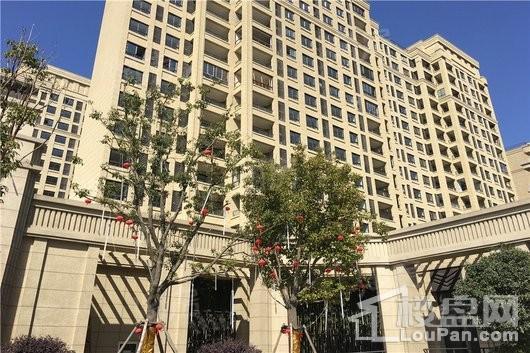 远洋万和四季实景图