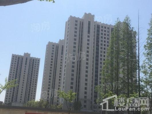 阳明花园实景图
