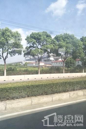 新里波洛克公馆配套图